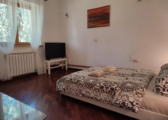 House Andrea With Pool Ferienhaus Umag